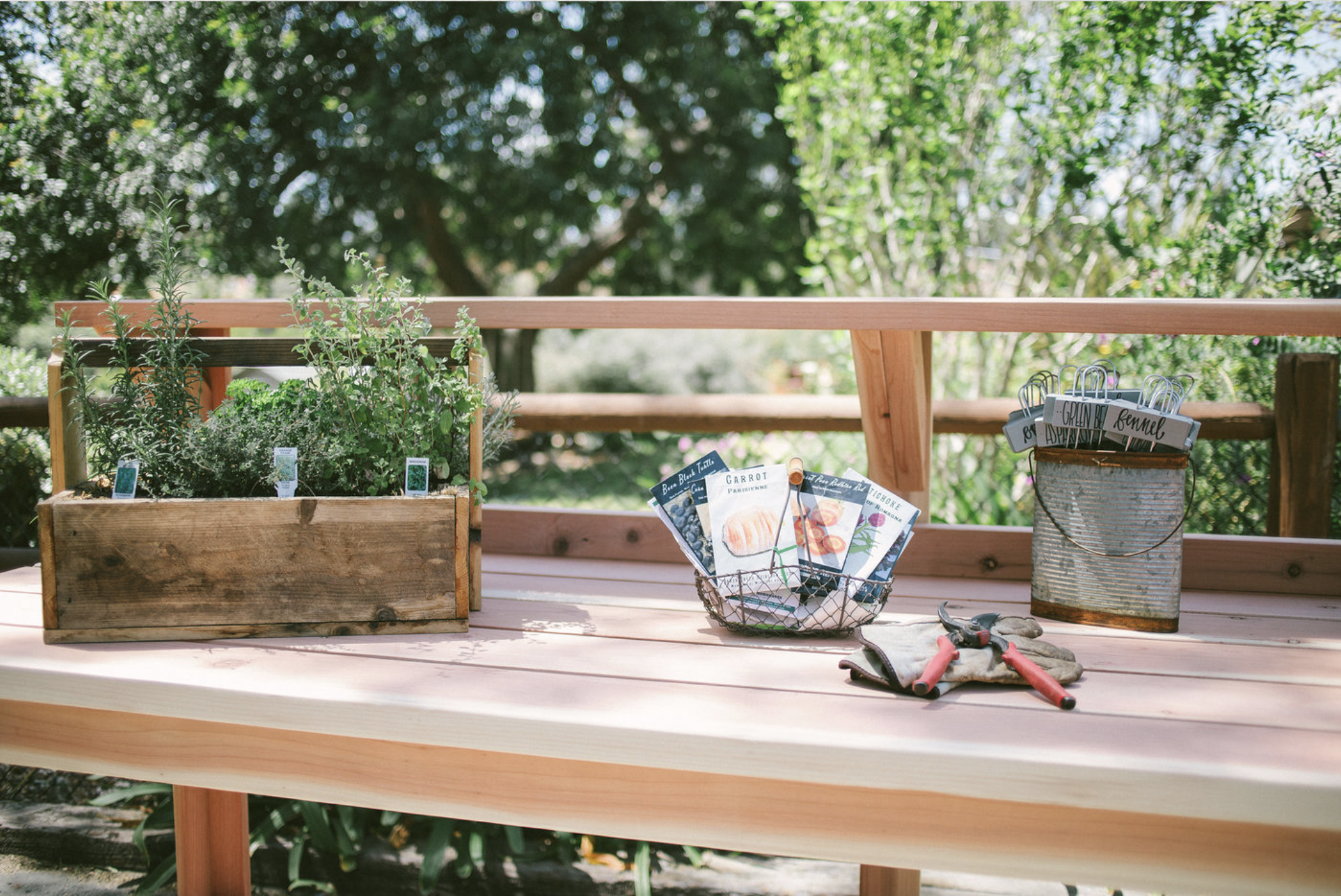 What to Plant in December (Zones 9 &amp; 10)