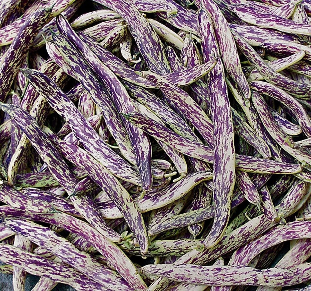 Dragon Tongue Bean Salad