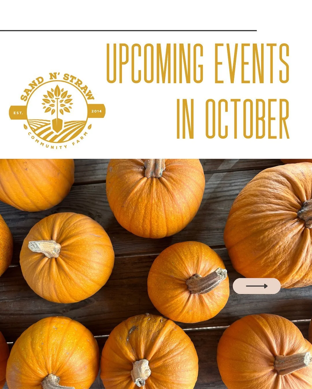 🍂🎃 October is almost here, and there&rsquo;s so much happening at Sand n Straw! 🌿🐐

Join us this month for family-friendly farm tours, gardening classes and our farmstand stocked with the best seasonal produce and homemade goods. 

From pumpkins 