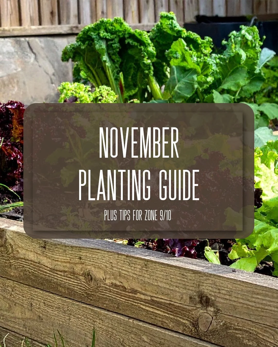 Start small, plant what you love, and let it become a relaxing hobby you enjoy. 

Little by little, your garden (and your confidence) will grow. 🌱💚

Remember &mdash; you&rsquo;re never alone! Reach out to your local farmers (like us!) for tips, sup