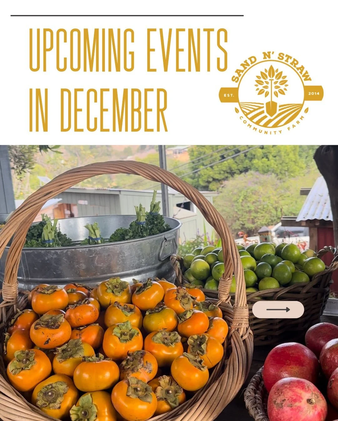 Stop by the farmstand to enjoy farm-fresh produce, homemade goodies, fresh bread and desserts, thoughtful gifts for loved ones, and all the cozy fall vibes. And don&rsquo;t forget &mdash; you can always say hello to the animals while you&rsquo;re her