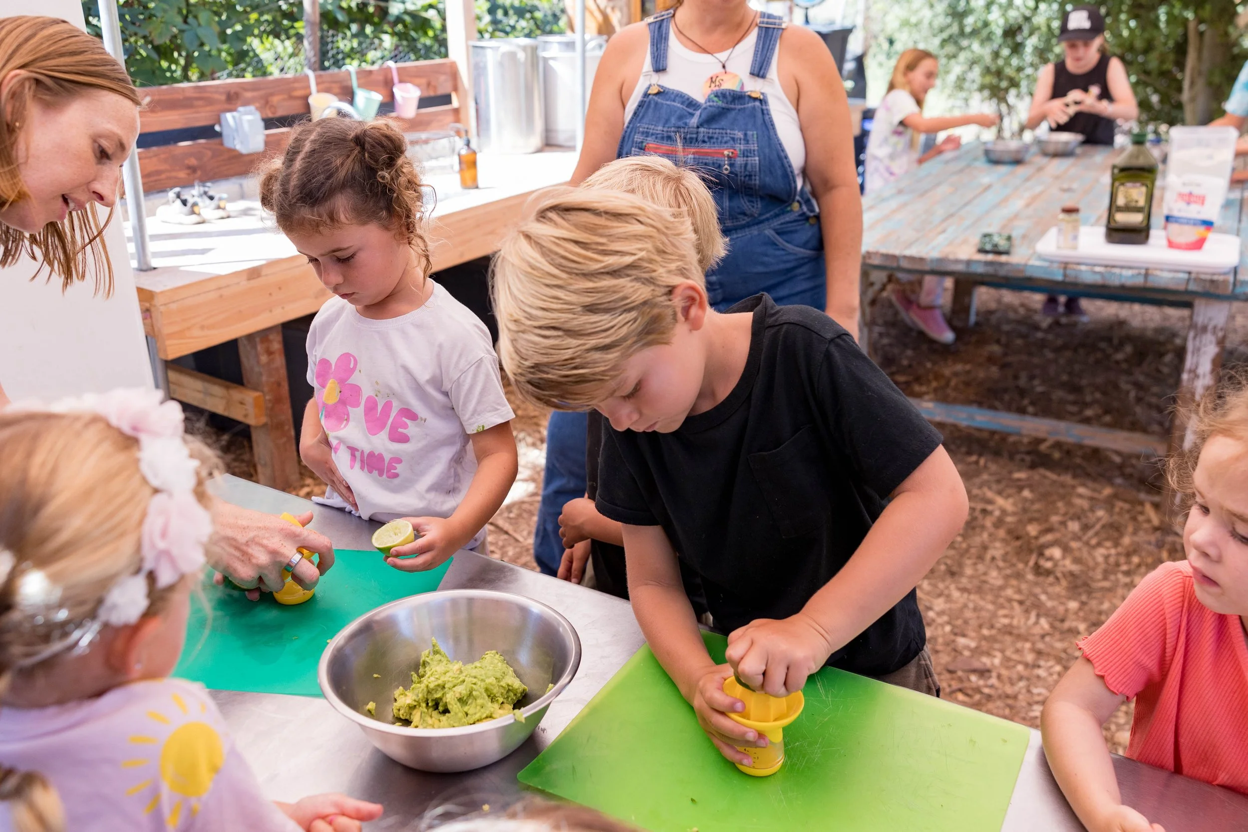 Nature's Bounty Farm Camp