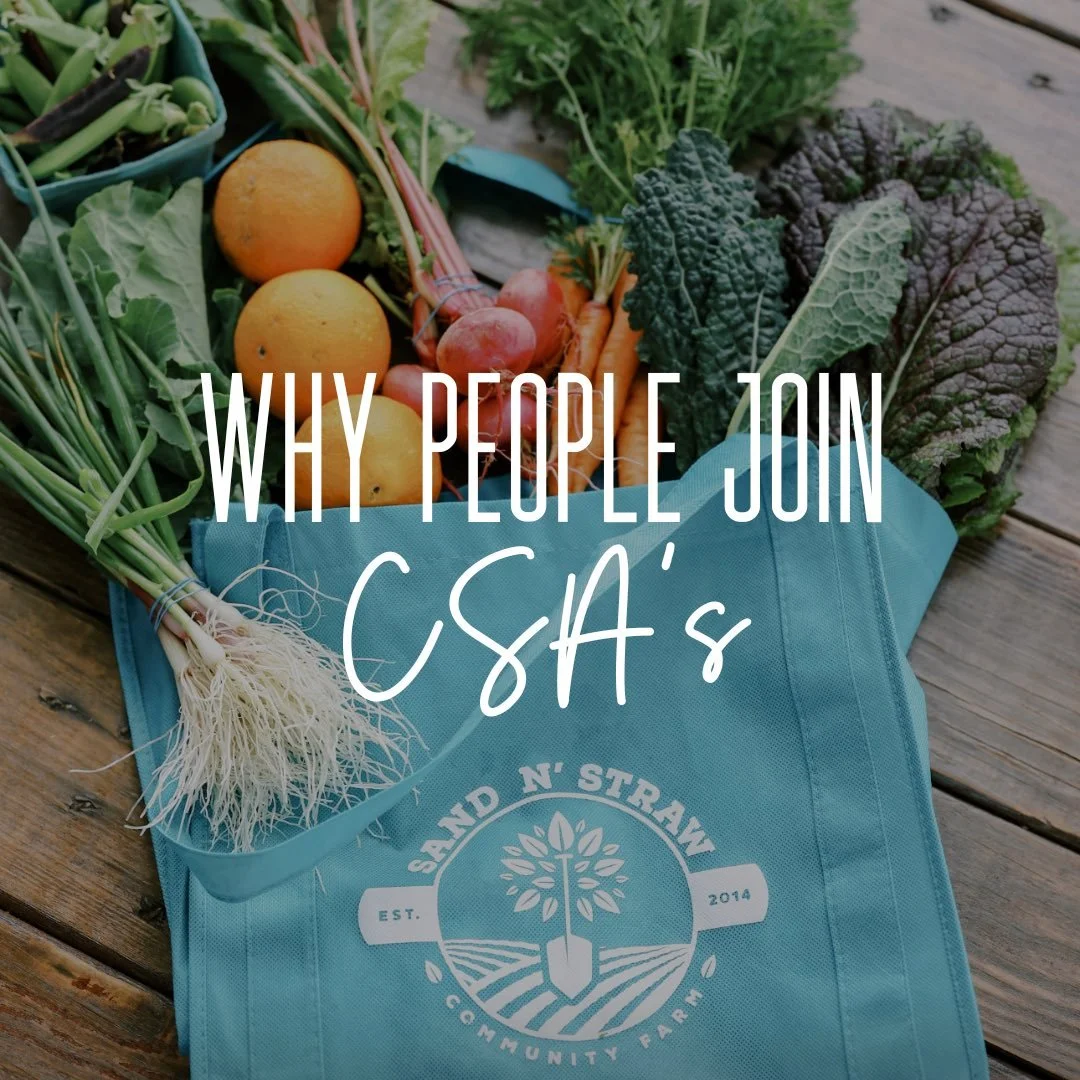 Thinking about joining a Community Supported Agriculture (CSA) program? Swipe for the reasons why so many people love it ➡️

Join a CSA and enjoy fresh, healthy, and sustainable food for your family! 🌻🥬🍓

In the Vista, CA area? Go to sandnstraw.co