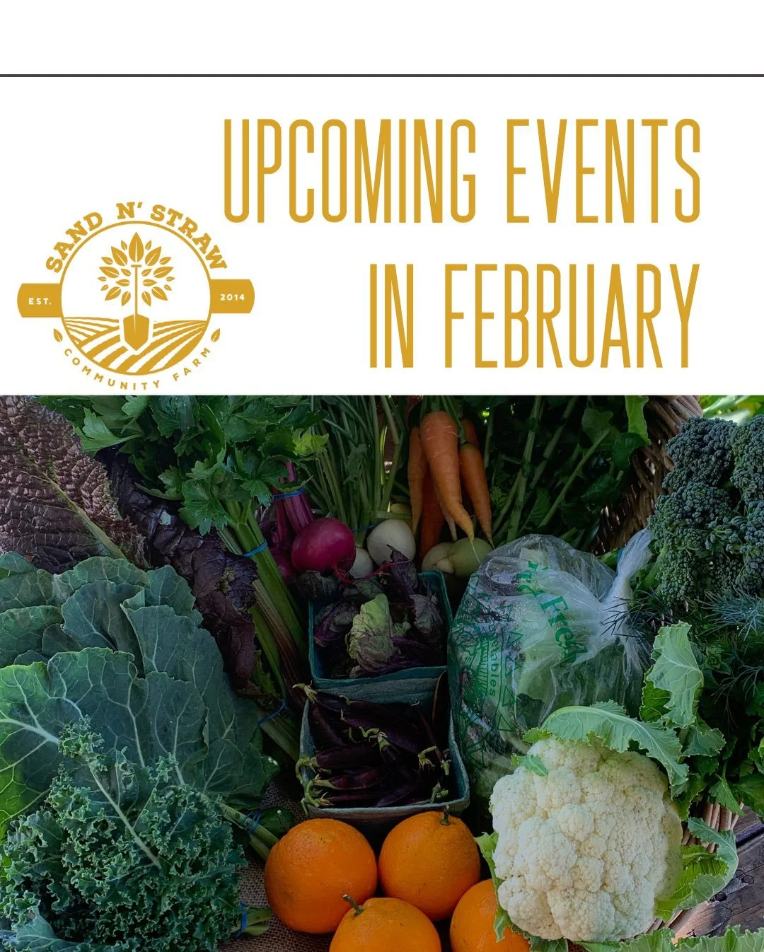 Come stock up on farm-fresh produce, seasonal fruit and veggies, and handmade goodies. February is bursting with flavor and fun! 🍊🌸🐐

Come make the most of your day with your local farm community!

📍 Farmstand open Wednesdays 1&ndash;4PM &amp; Sa