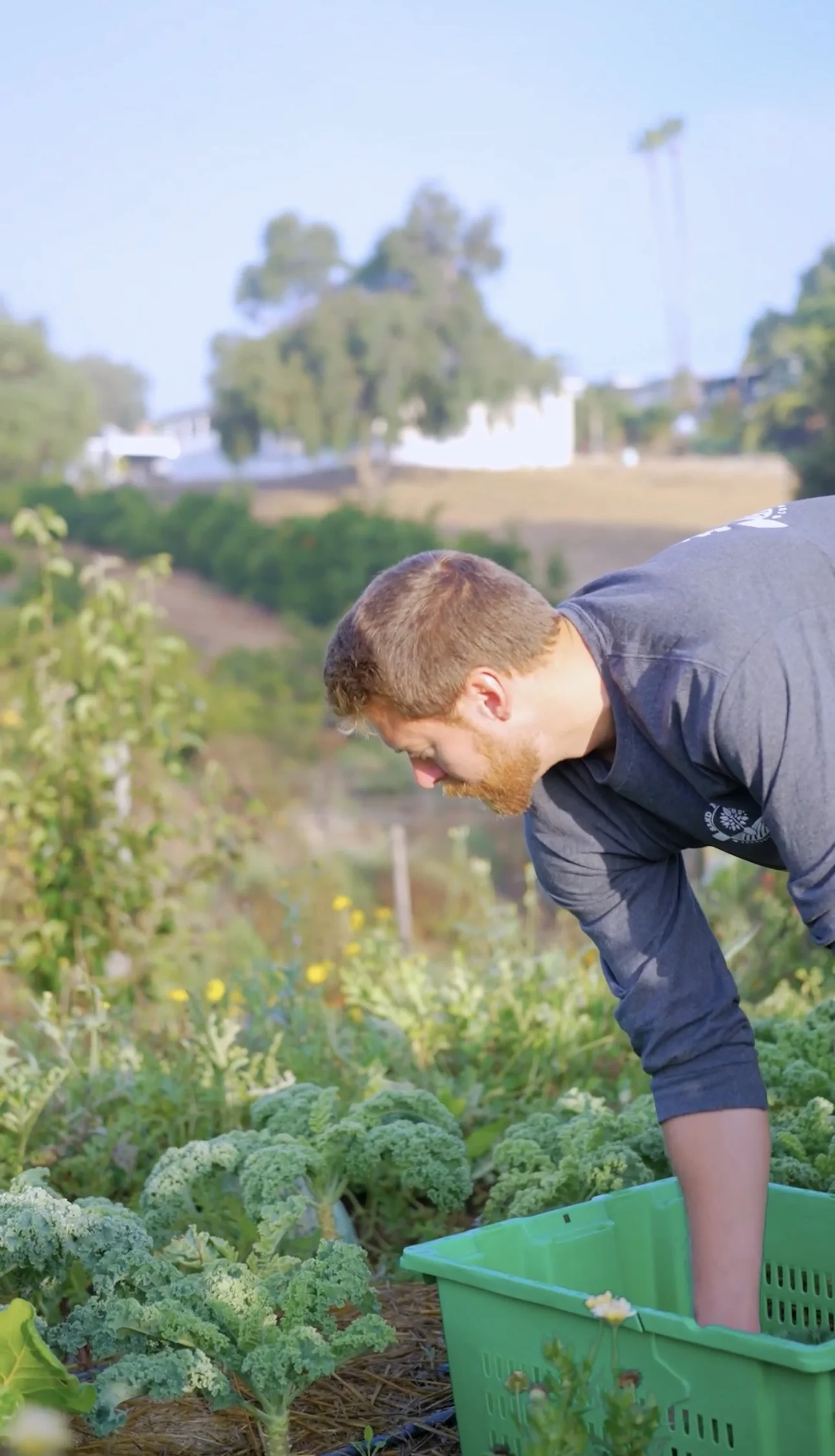 A Day in the Life on the Farm