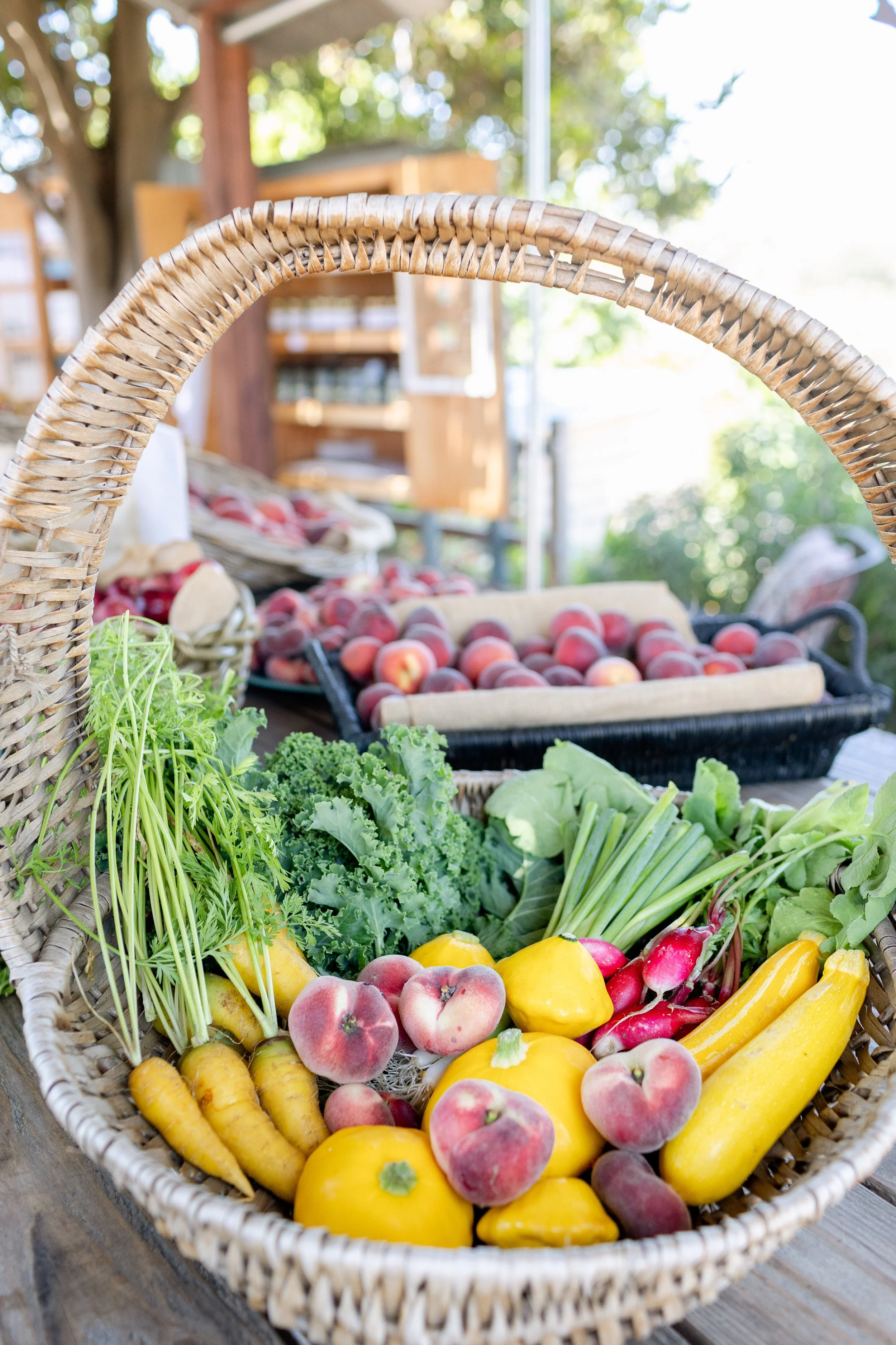 Eat With the Seasons. Taste the Difference.