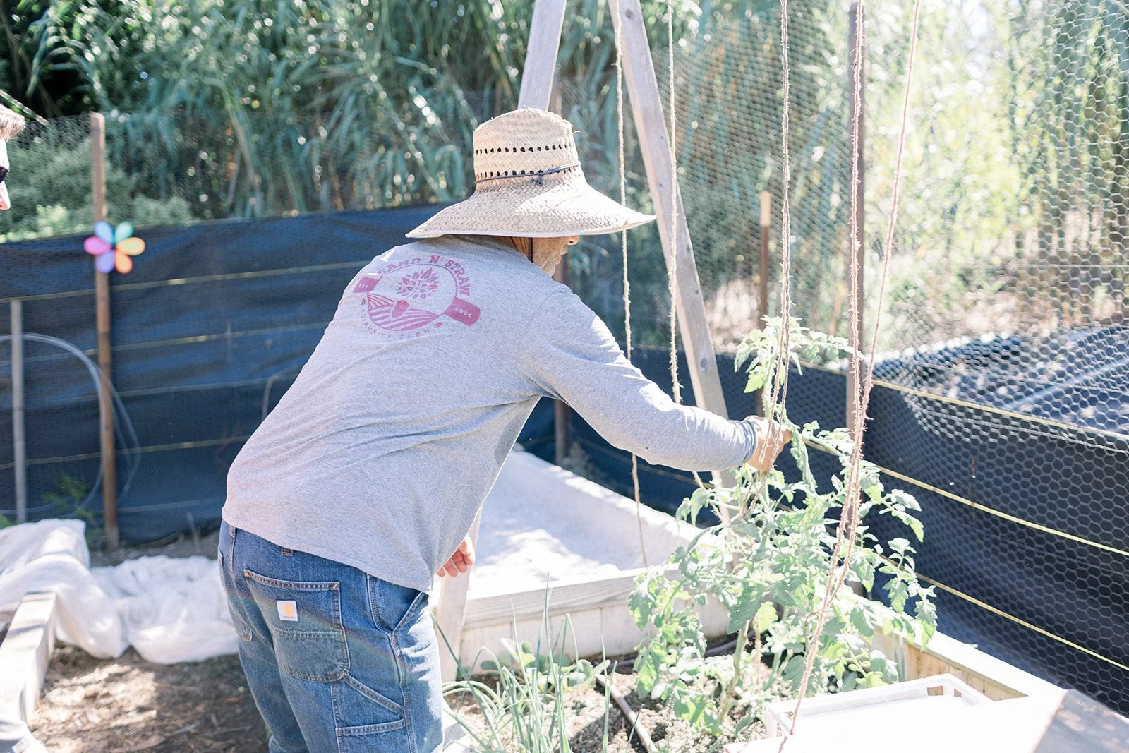 Sand n Straw Community Farm Featured by Hidden San Diego