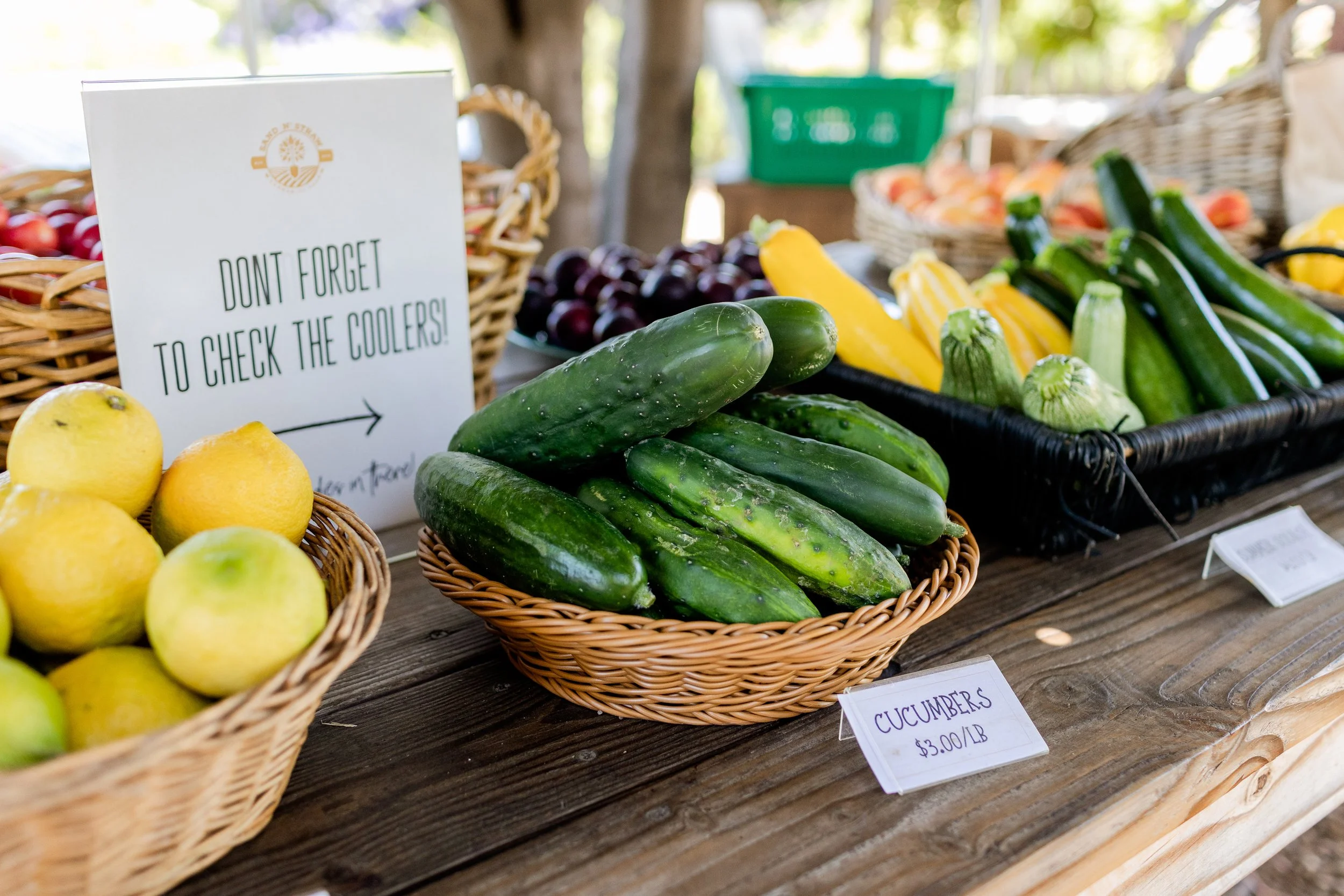farmstandjuly2023-19.jpg