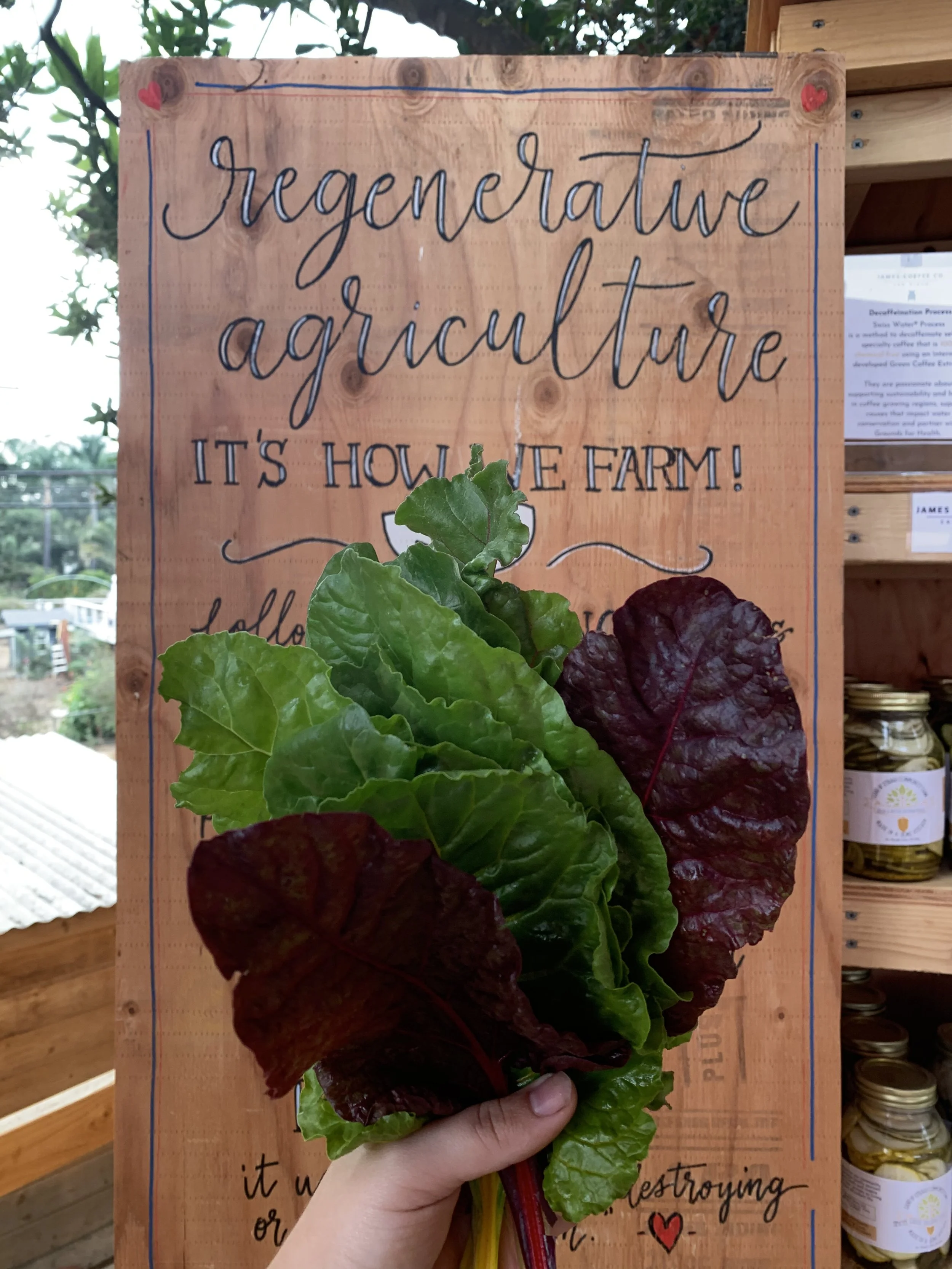 How to Store: Leafy Greens