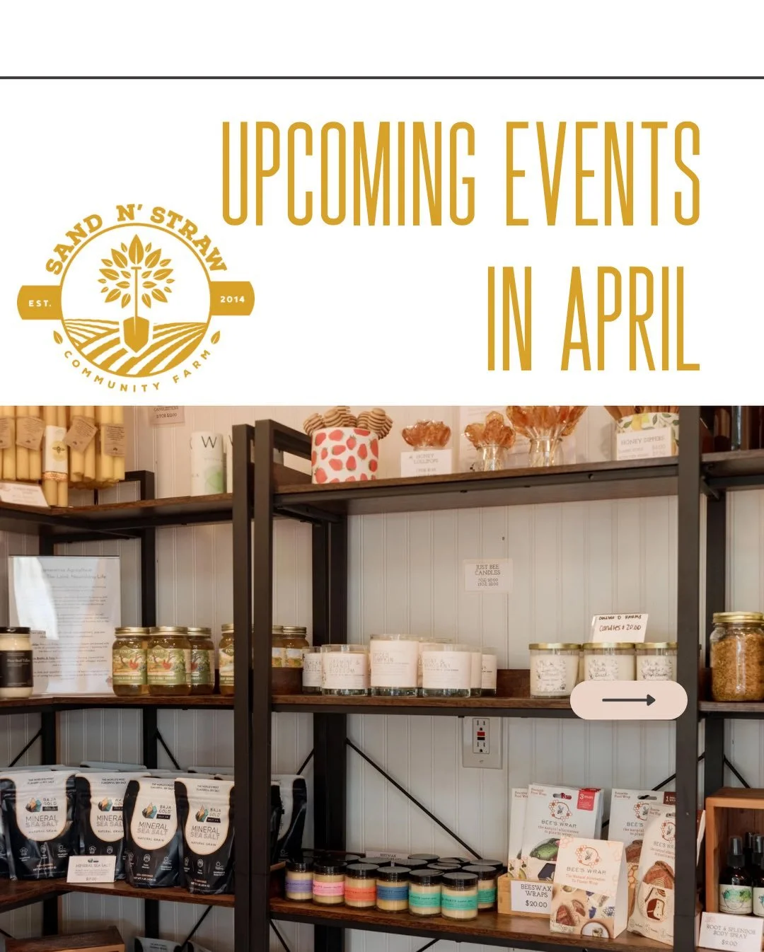 Welcome spring!! We are ready for you! 🌸🤍🐇🌳🍊

We have produce, homemade and handmade goods, coffee and teas, fruit trees, tours, gardening workshops and more!

Come visit us Wednesdays 1-8 &amp; Saturdays 8-1!

Visit sandnstraw.com to sign up an