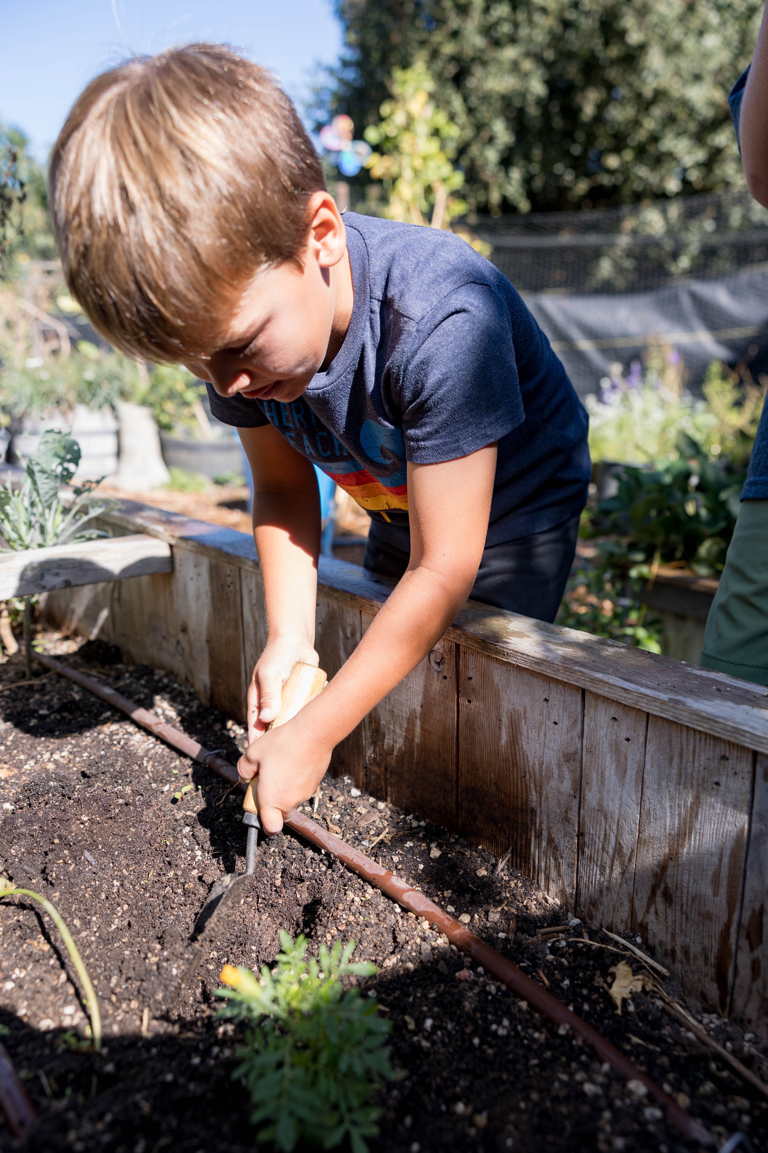 Summer Camp: Seeds of Wonder