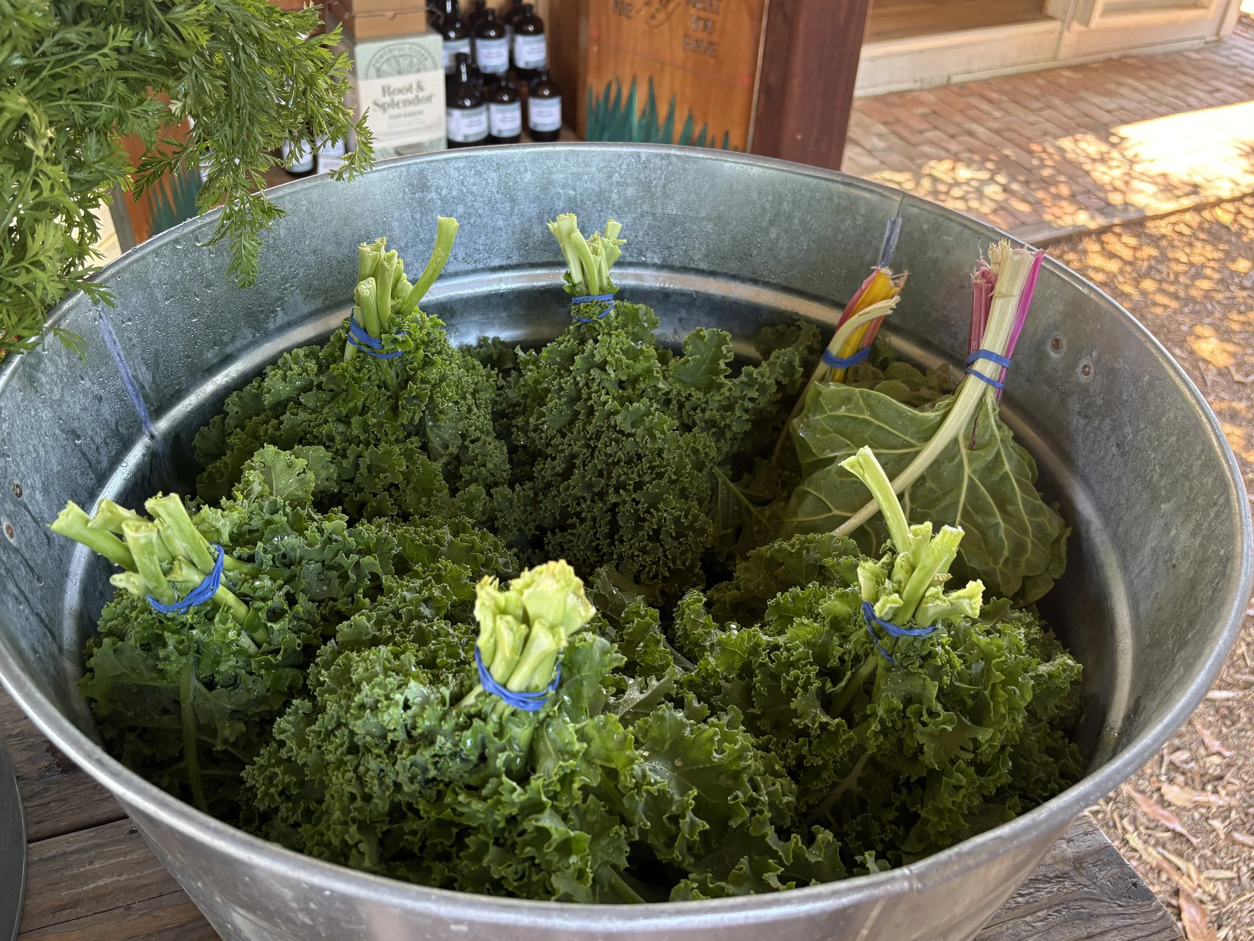 Purple Kale Salad with Cucumber, Carrot, and Lemon