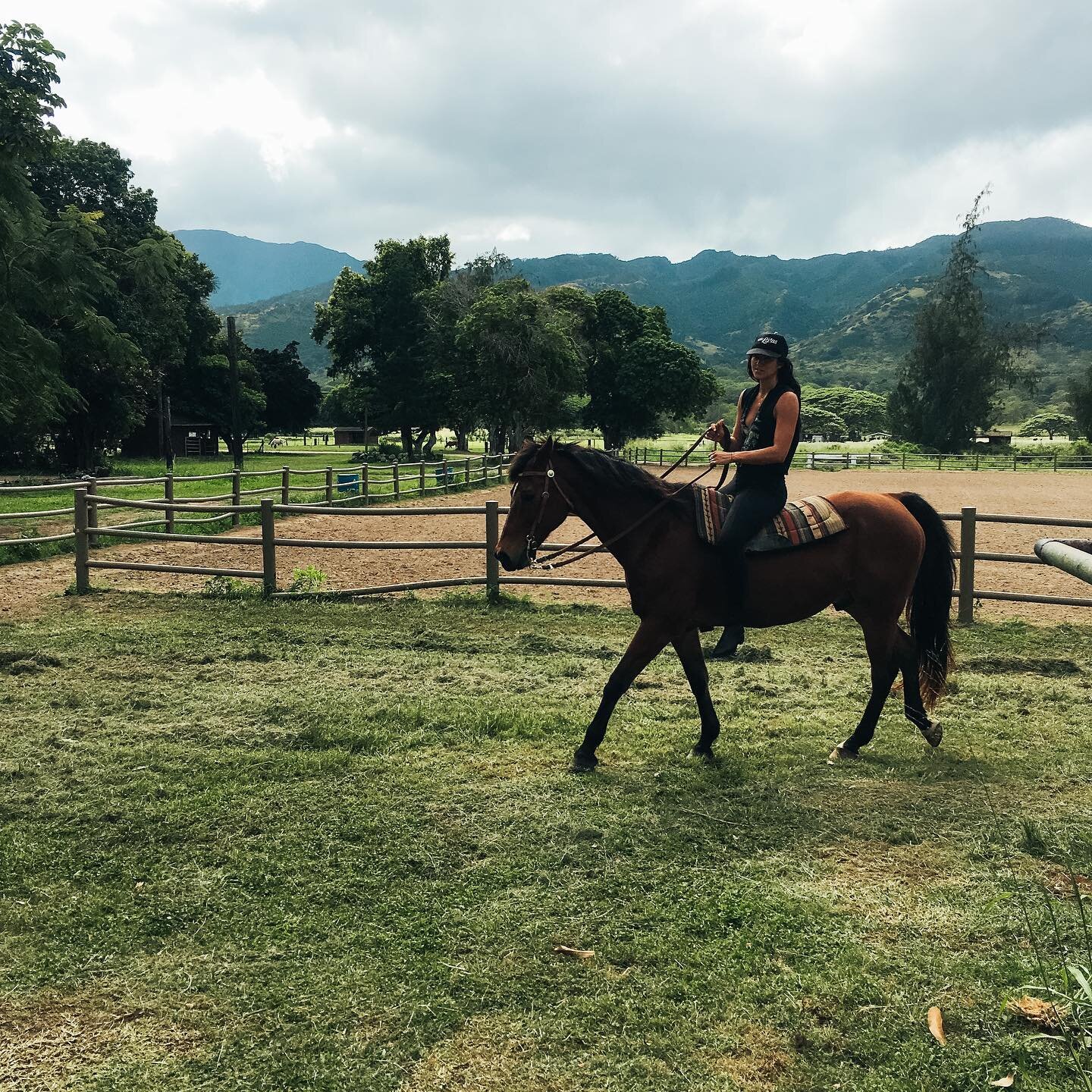 horse medicine touches the very heart and soul of all who love to run free 🤍 

Their spirit encompasses determination, endurance, valor, freedom, travel, beauty, majesty, and spirit. May horse wisdom aids us all in connecting with our soul, intuitio