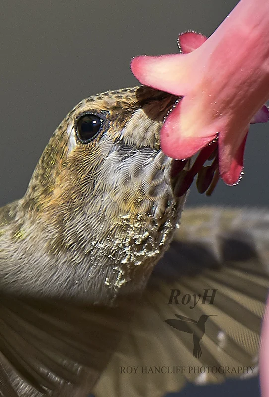 PHOTOS OF THE WEEK