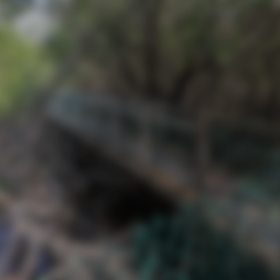 manzanillo cover.png