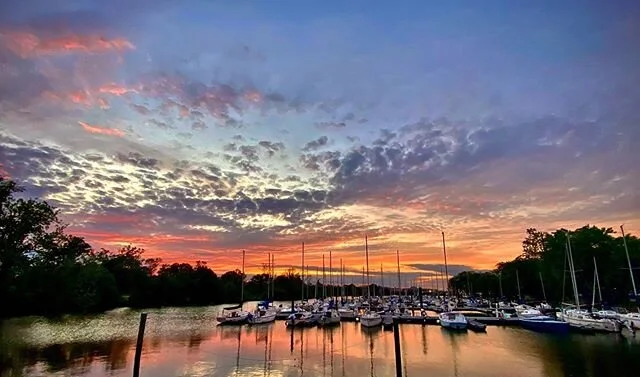 Lovely evening on the Mount Vernon Trail ☀️