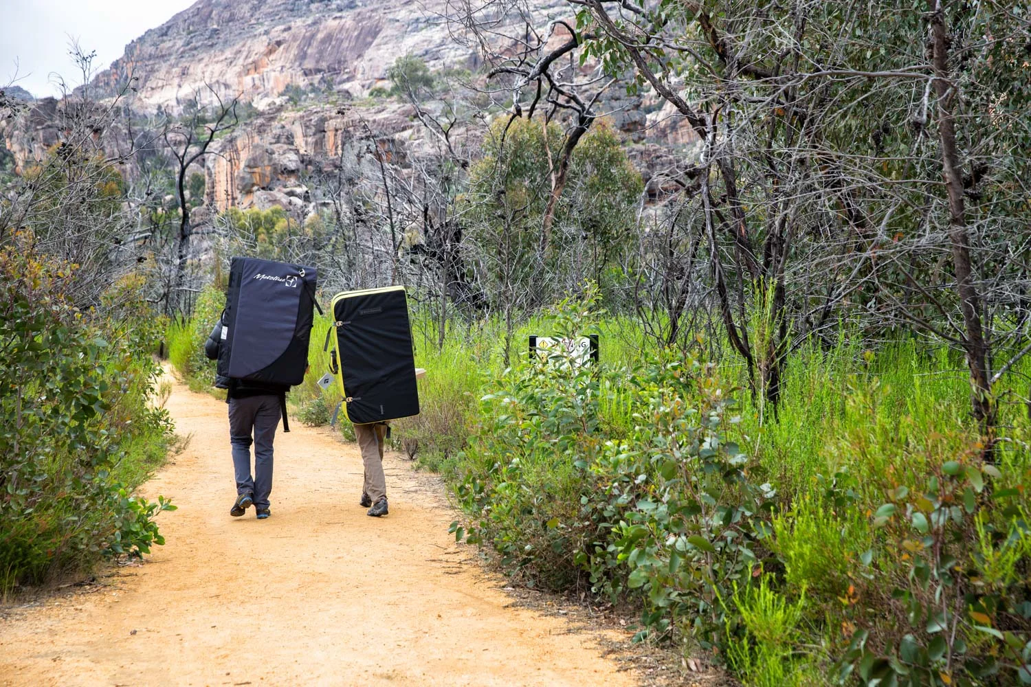 The very common sight of pads on legs heading up from Hollow Mountain carpark. Kamil Sustiak