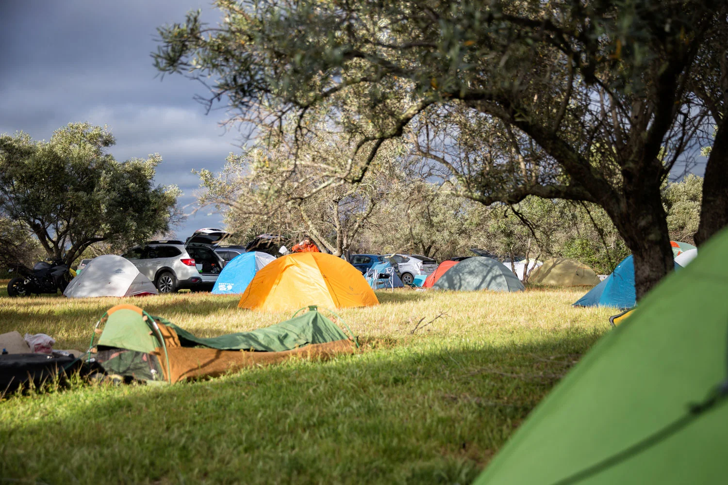 One of the most unique campsites in the Grampians, amongst the olive groves. Kamil Sustiak