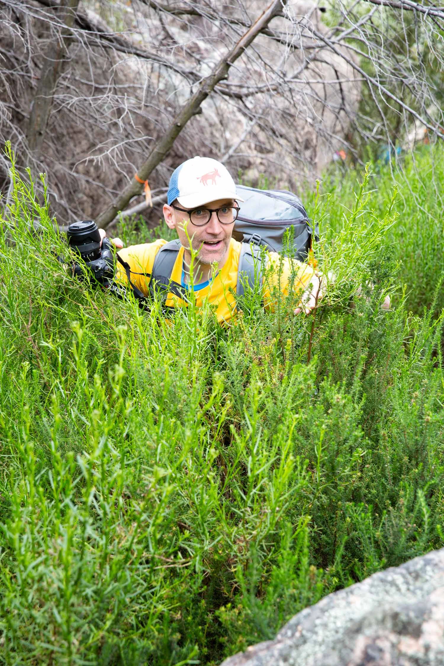 Fool with strange face in the bush. Kamil Sustiak