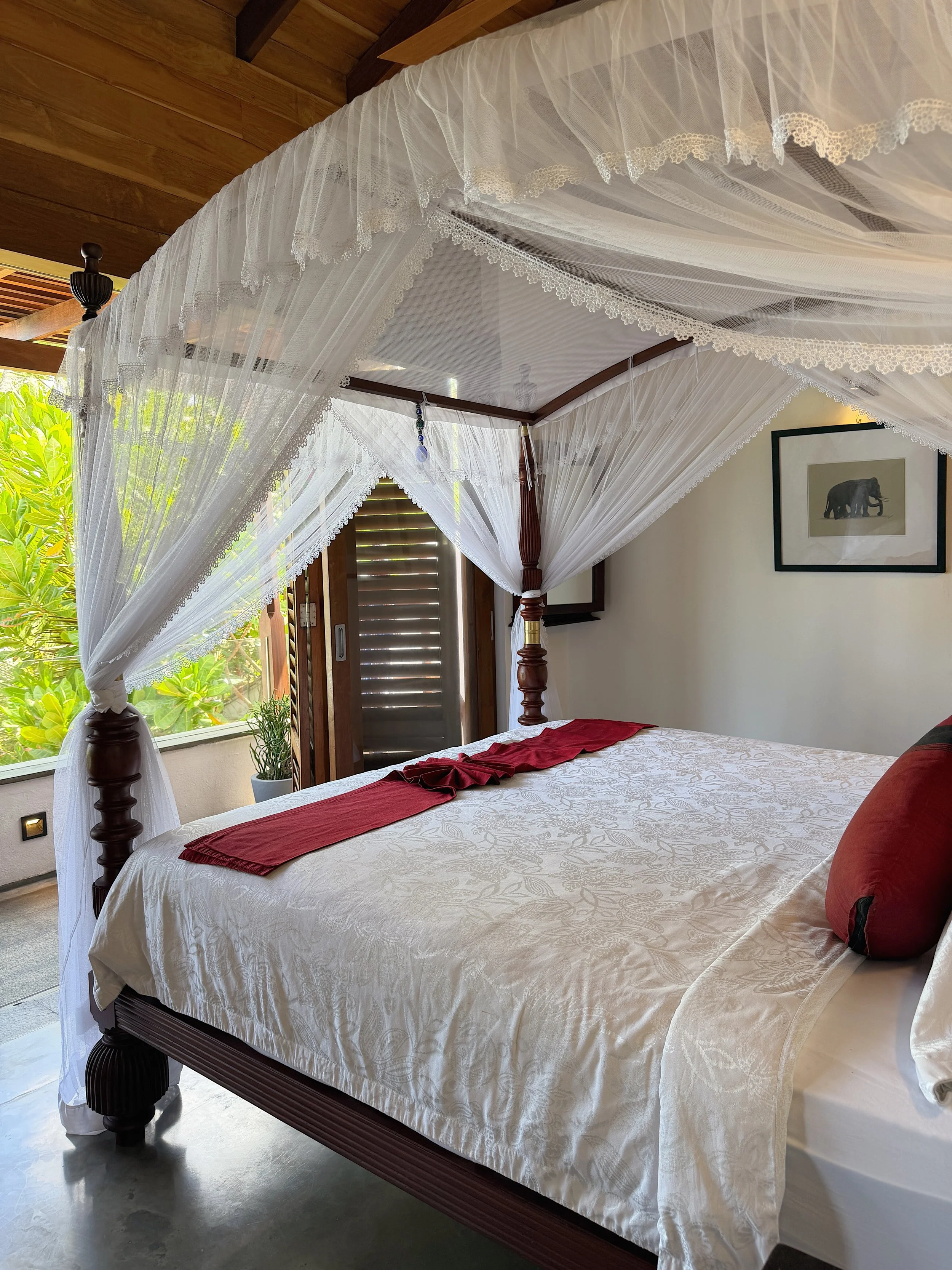 Royal indigo Villa 8.jpg