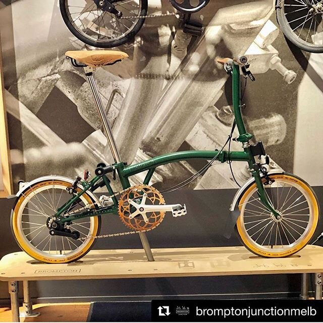 Always with the gorgeous Brompton builds @bromptonjunctionmelb 🙌😎 Shown here with the Titanium Copper coated Rose Window Chainring. 
Repost @bromptonjunctionmelb ・・・
How will you spec your #Bromptonbike? 💚💚💚💛
bit.ly/ContactBJM

#bespokechainrin