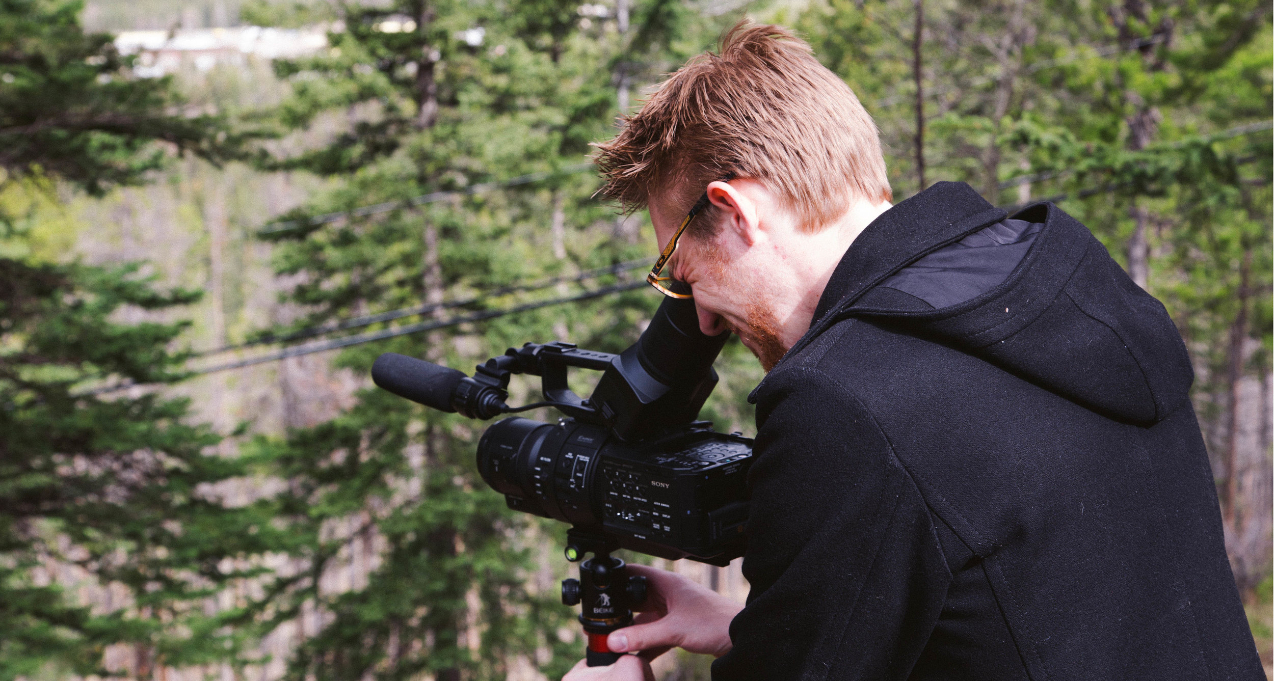 David Fyfedawgcover.jpg