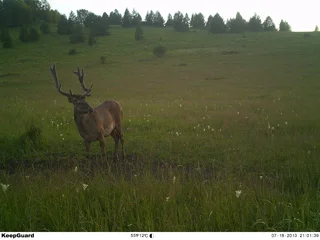 Taken BY KG760NV2.JPG