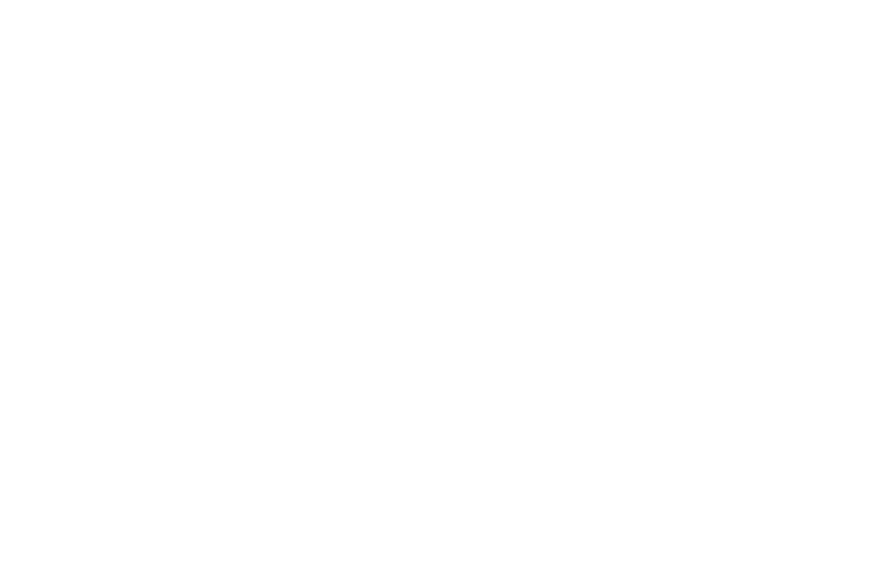 OFFICIAL SELECTION - SENE Film Festival - 2018 (1).png