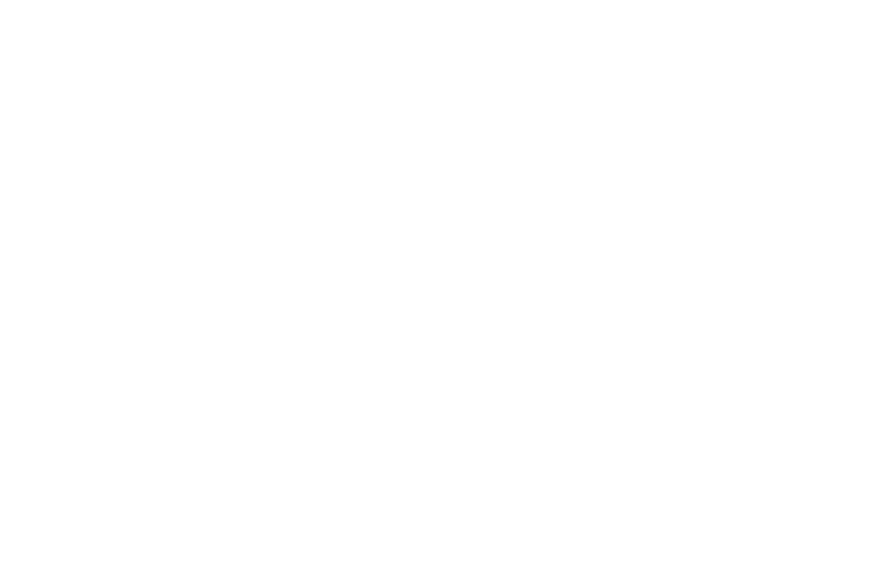 Best International Short Film Silver Award - TORONTO AFTER DARK FILM FESTIVAL - 2018 (1).png