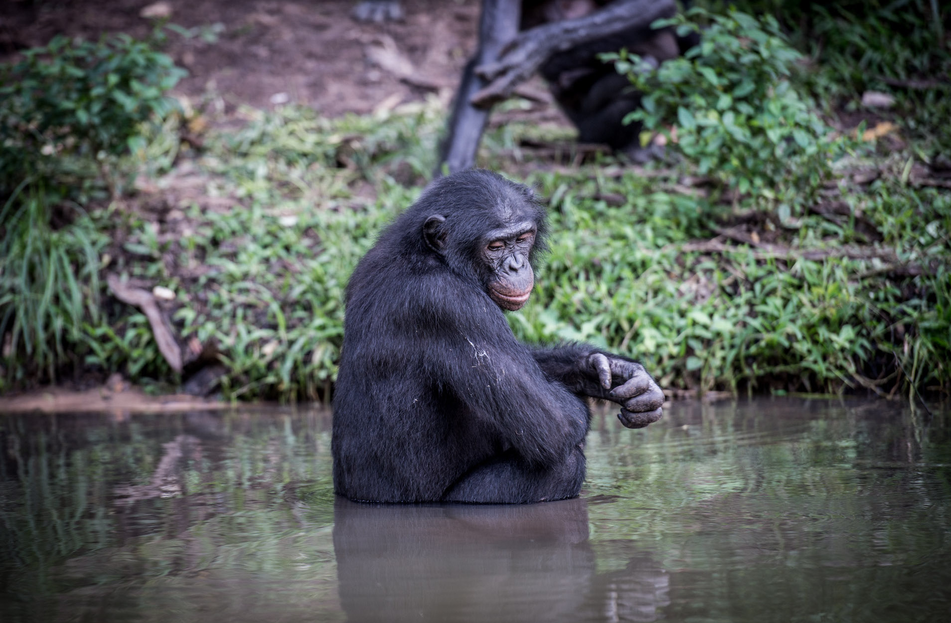 kinshasa-6831.jpg