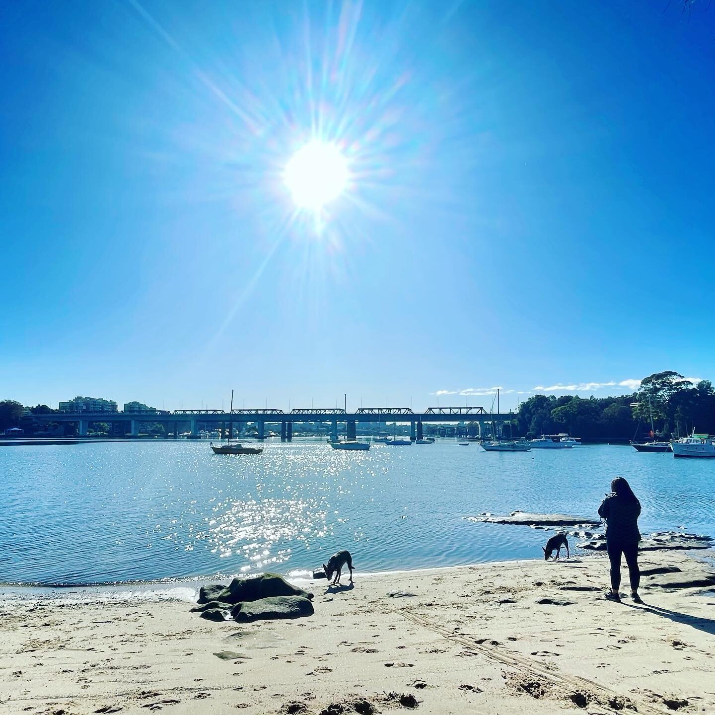 Late autumn sunshine ☀️

#rozelle #lilyfield #leichhardt #ironcovebridge #blackwattlefinance #innerwest #broker #mortgagebroker #sydneybroker #homeloans #loans