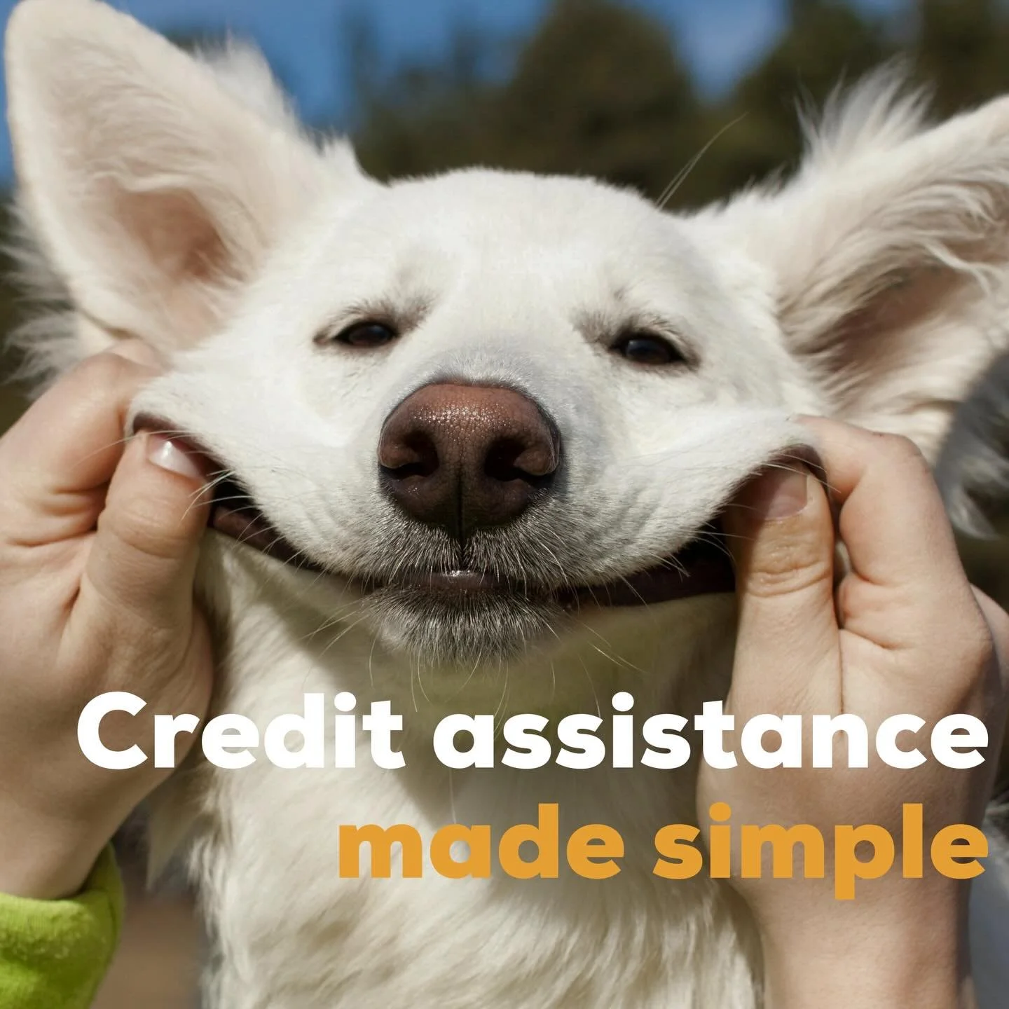 From first-home buyers to seasoned investors, from the self-employed to the simply curious...

Blackwattle Finance makes the complex easy.

Nothing is too big. Nothing is too small.