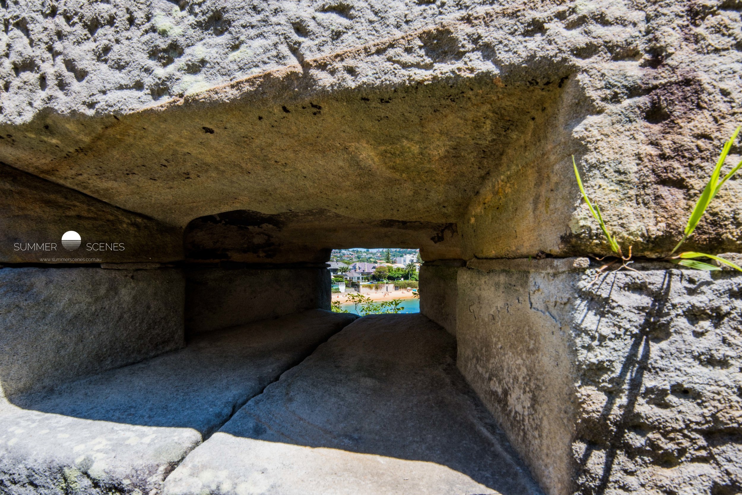 Gun View
