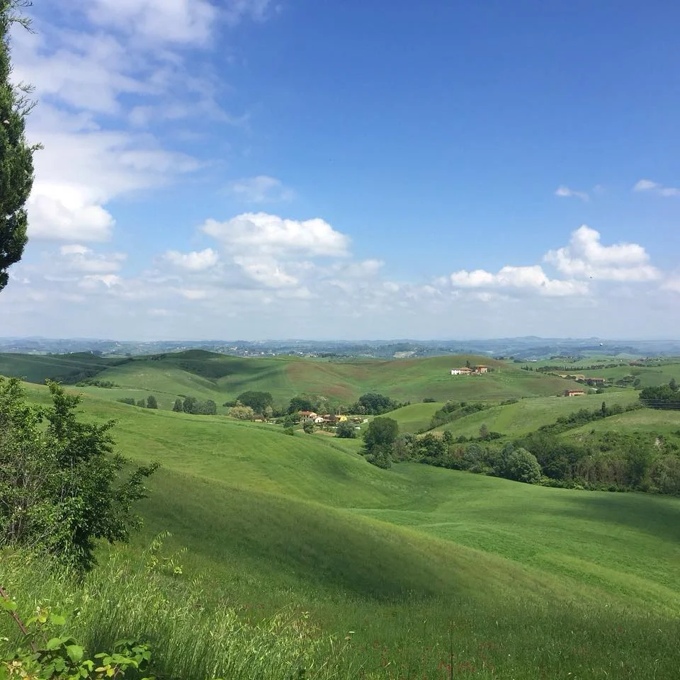 View.jpg