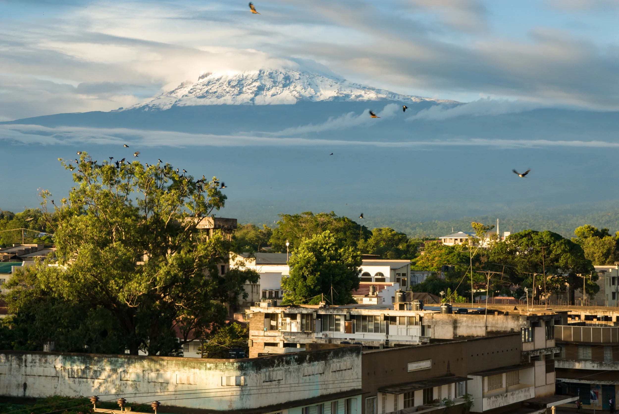 AdobeStock_109535360.jpeg