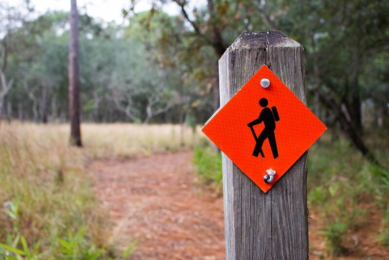 Walking: The Path To A Healthier Life