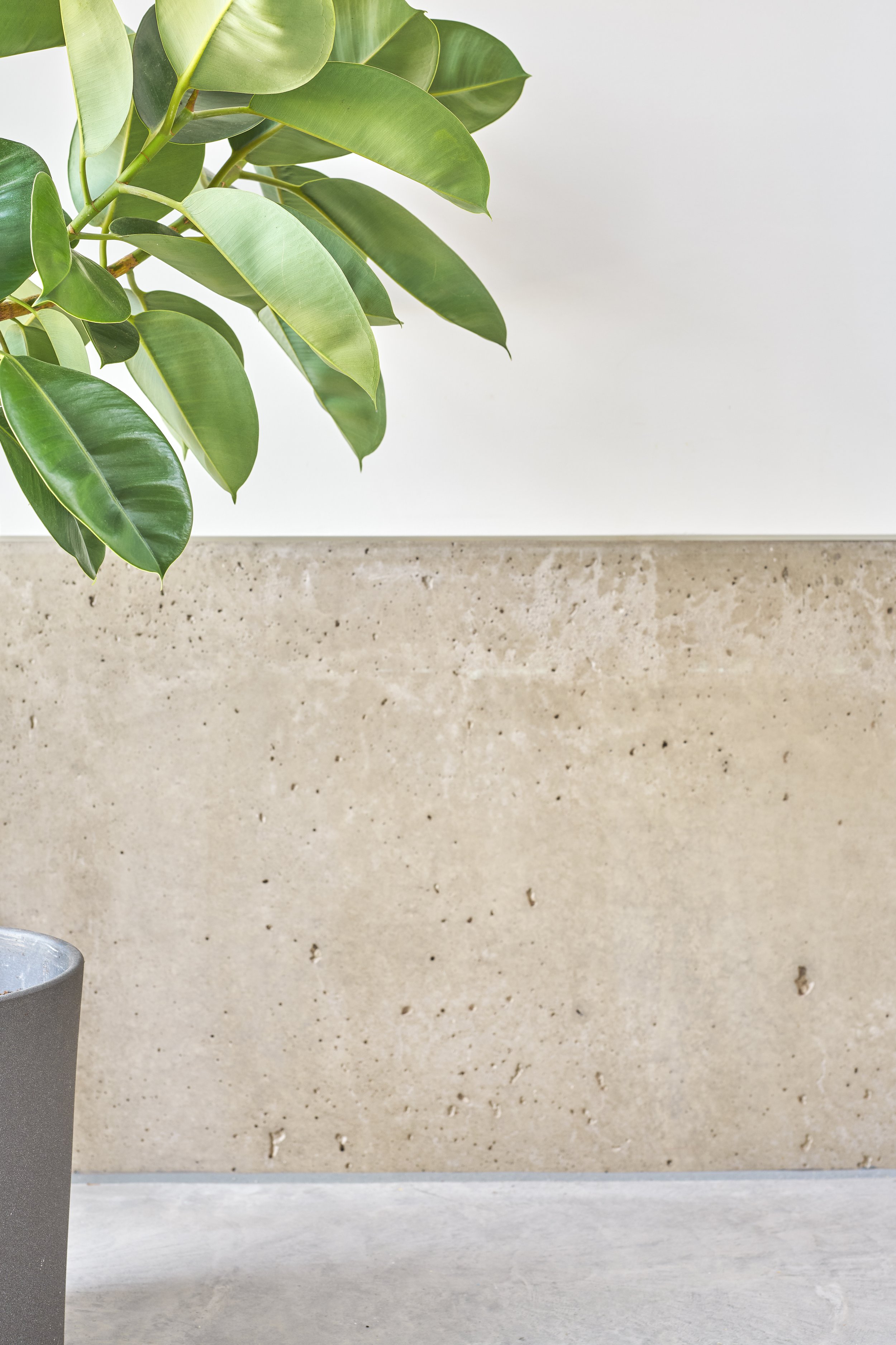 43 belle vue gardens20091.jpg