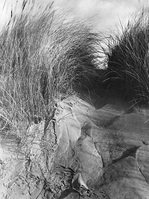 Stairway, Mablethorpe 640.jpg