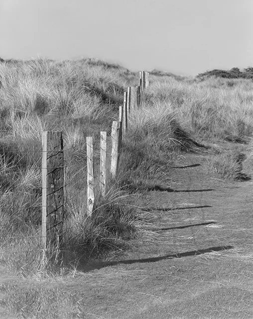 Ynyslas Fence 640.jpg