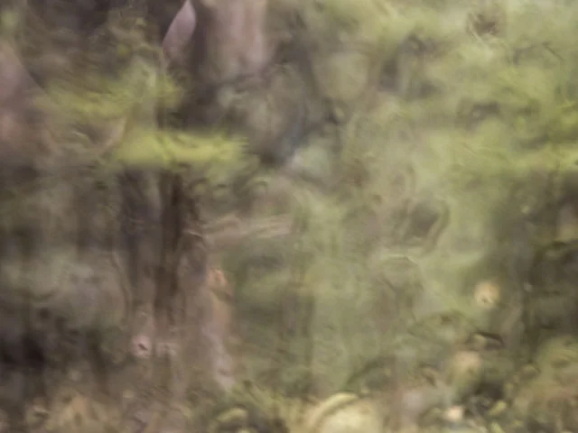 Impressionist 2.jpg