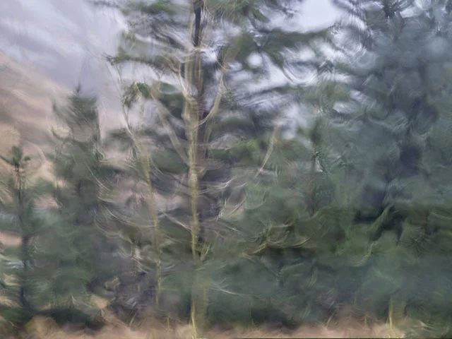 Impressionist 3.jpg