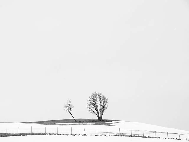LoneTreeOnHill.jpg
