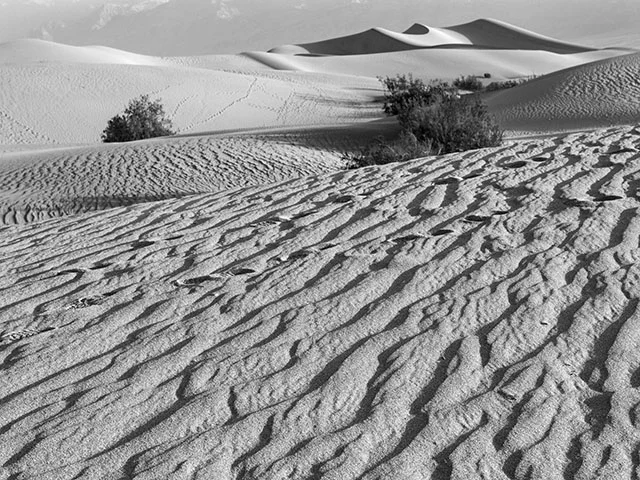 SandDunes1.jpg