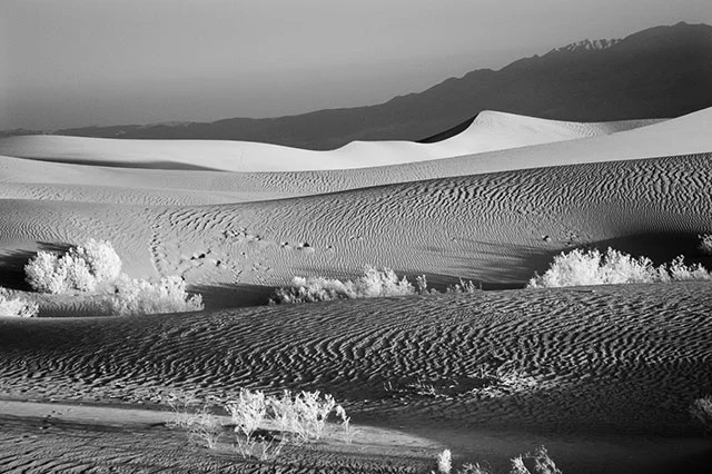 TedSandDunes2.jpg