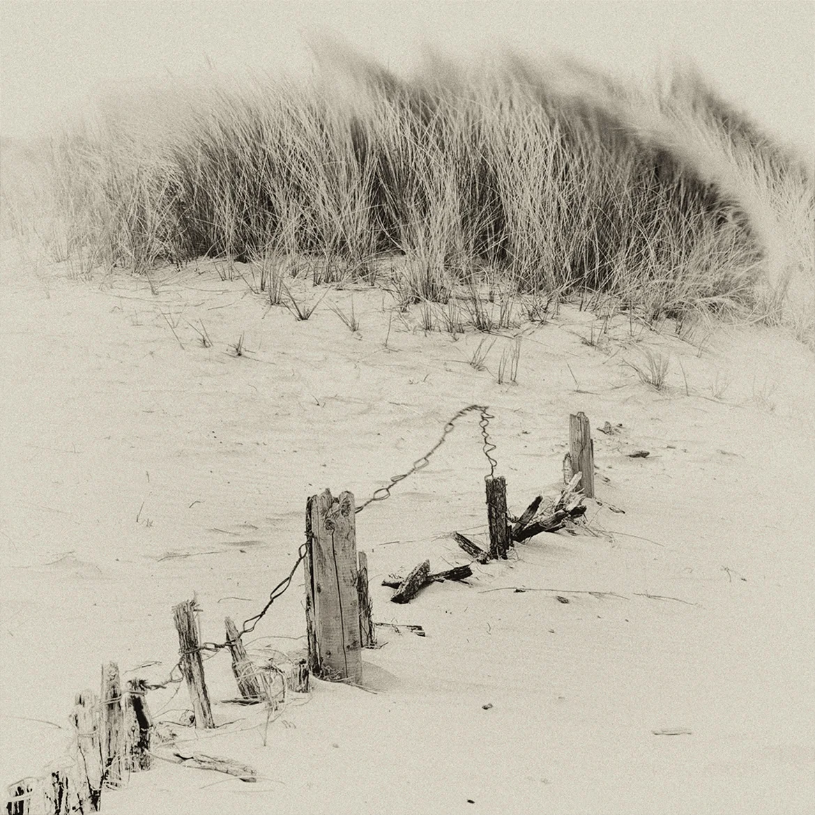 1_Sand Dunes.jpg