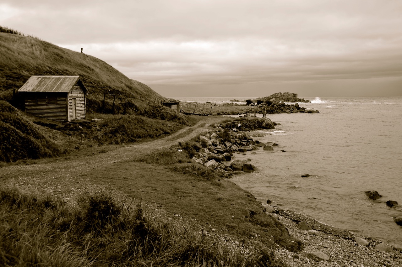 Cosy Bay