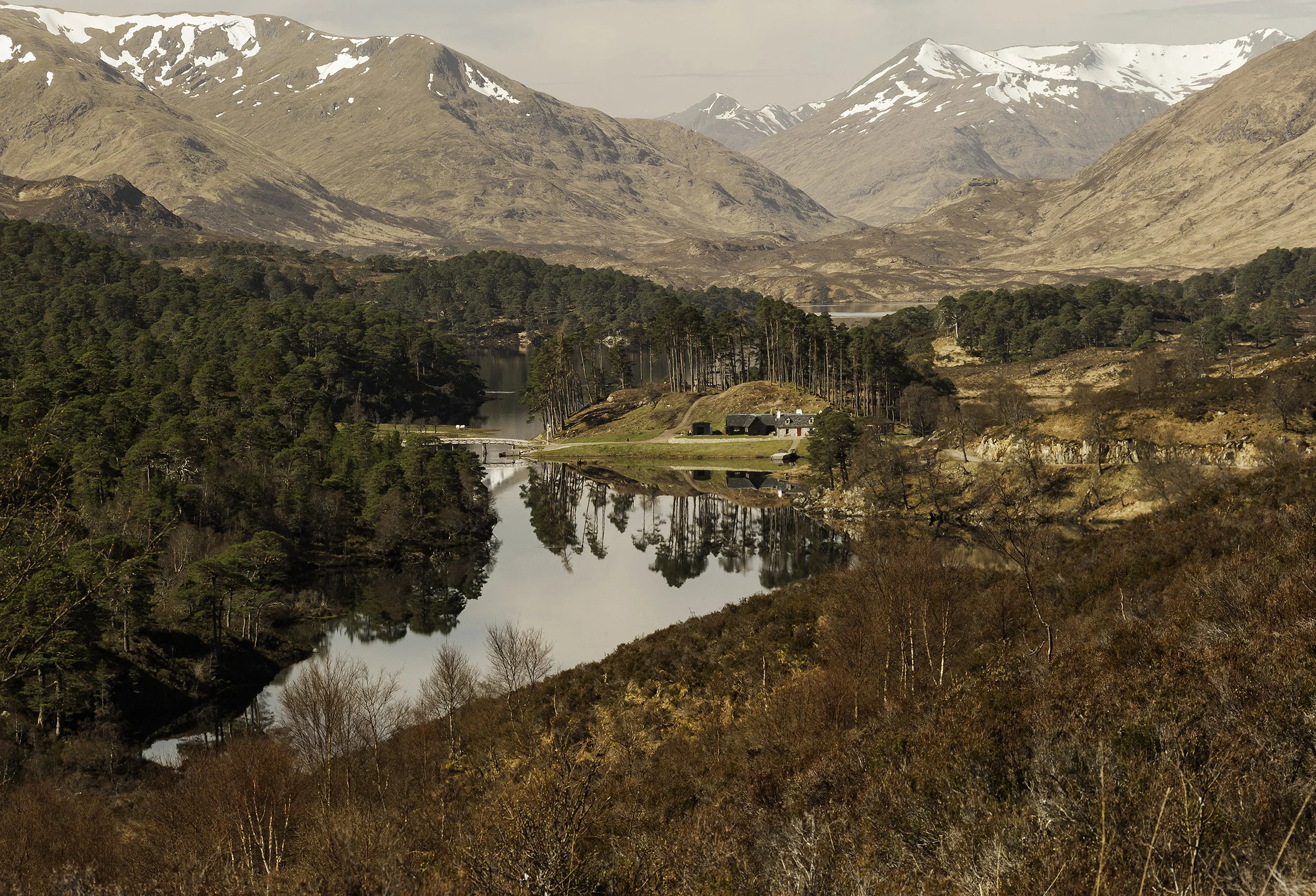 21Glen Affric and beyond 2560x1600-.jpg