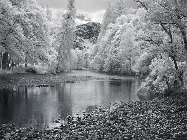 Pond1.jpg