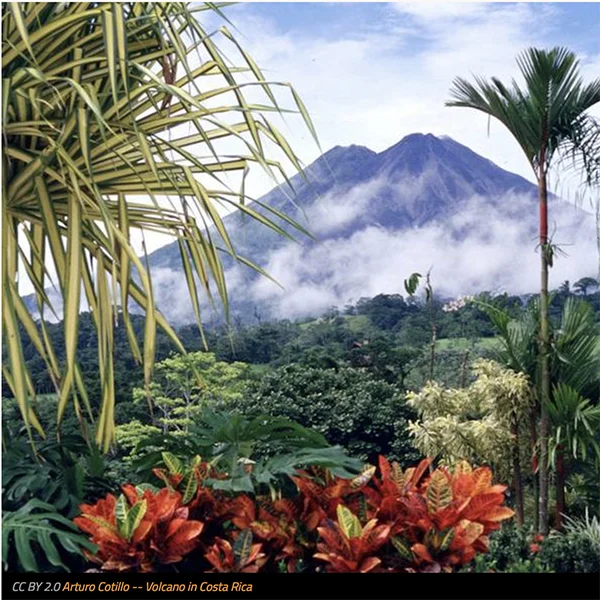 Costa Rica's president-elect is promising an oil-free future
