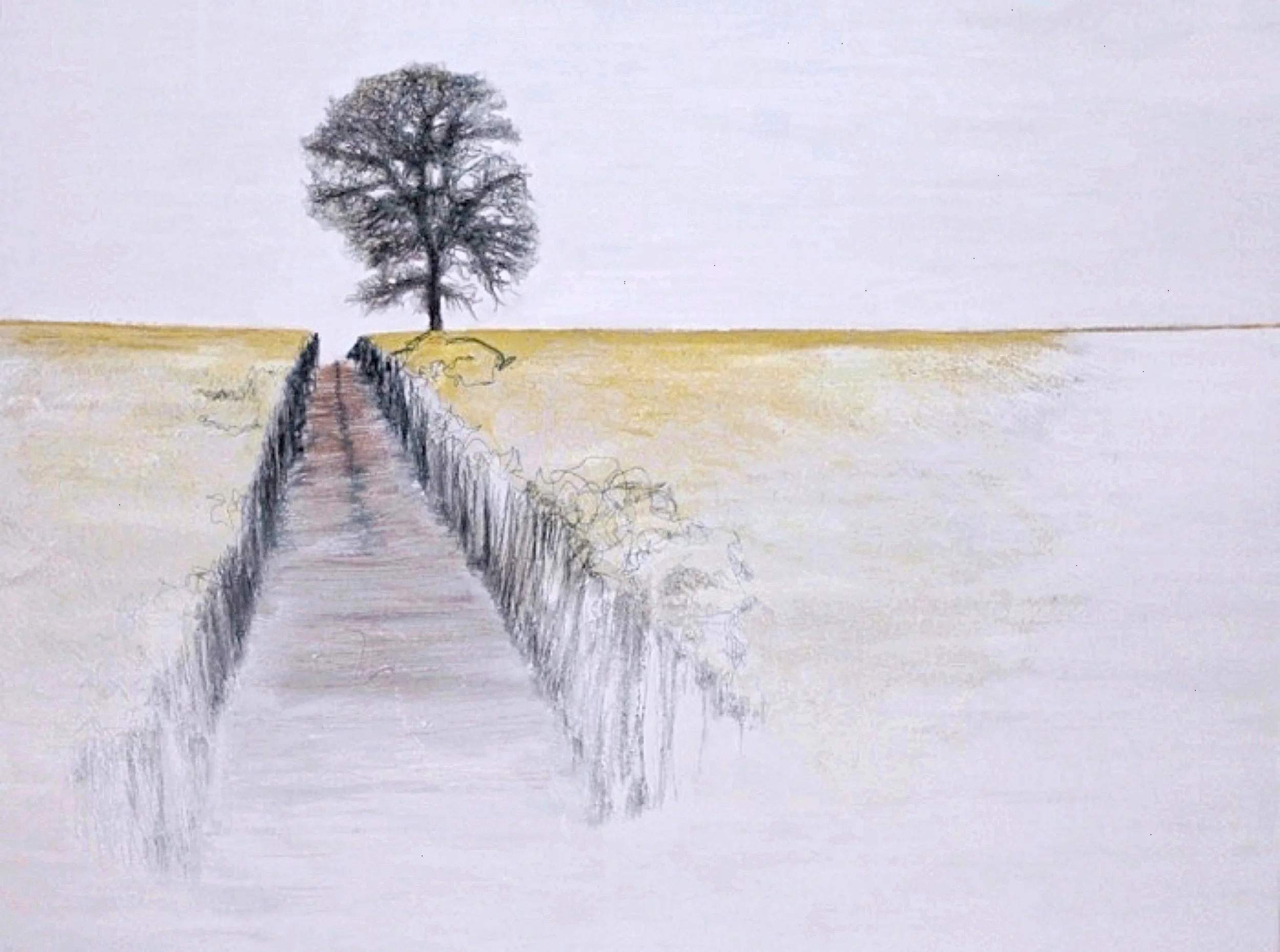 Lilley Walk.jpg
